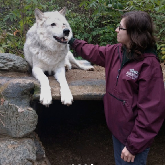 maplewolf